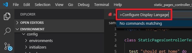 Command Pallette で Configure Display Langage を入力する